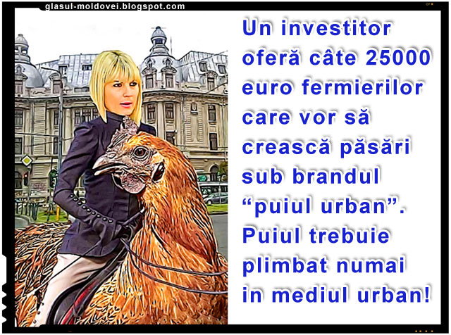 Elena Udrea - Cresterea puilor sau cocosilor sub brandul "Cocos Spagar"