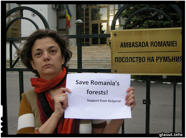 Bulgarii sunt alaturi de romani pentru stoparea defrisarilor ilegale din Romania