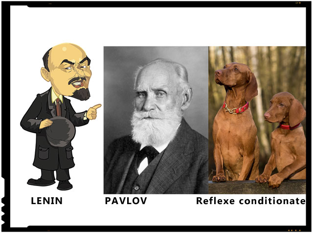 "Vreau ca masele din Rusia sa urmeze modelul comunist de a gandi si a reactiona", i-a explicat Lenin.... Pavlov a ramas impietrit.