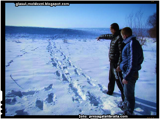 Doi moldoveni au trecut ilegal frontiera pe podul de gheaţă al râului Prut, foto: presagalatibraila.com