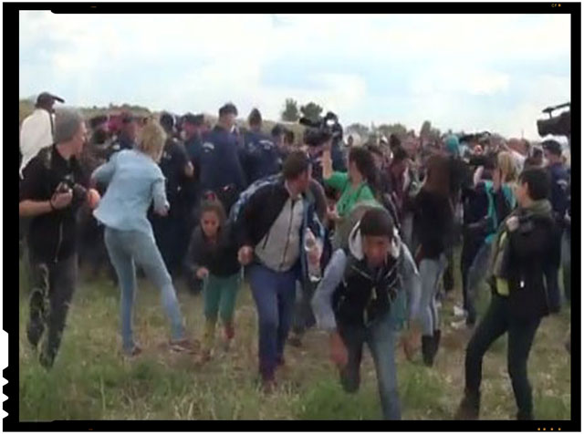  Gest reprobabil al unei femei cameraman din Ungaria. Loveste cu piciorul refugiatii care fug de politia maghiara