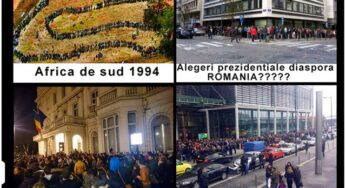Cozile suferintei din diaspora l-au invins pe Mickey Mouse