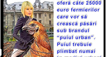 Un investitor ofera cate 25000 euro fermierilor care vor sa creasca pasari sub brandul “puiul urban”