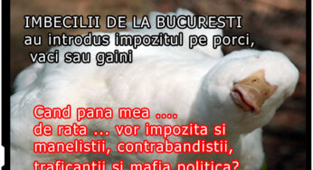 Imbecilii care ne conduc au introdus impozitul pe porci, vaci sau gaini