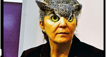 Legea 247/2005 a carei “mamica” este Monica Macovei a perpetuat o serie de nereguli şi de abuzuri, deschizând calea îmbogăţirii din drepturi litigioase a unora