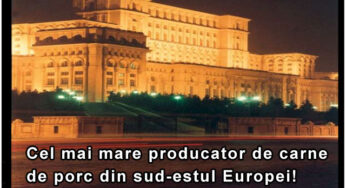 Industria carnii de porc din Romania inca mai are sperante! Palatul Parlamentului este cel mai mare producator de carne de porc!