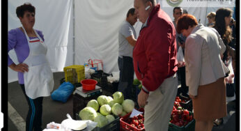 Marile lanturi de magazine din Romania obligate sa comercializeze produse alimentare romanesti