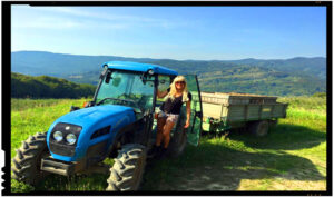 Elena Udrea revoltata: "Guvernul Tehnocrat nu a fost in stare, sau nu vrea, sa aduca un euro in tara!", Foto: facebook.com/EUdrea/