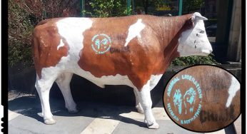 Culmea idioteniei neomarxiste la Cluj Napoca: “Infratirea dintre om si animal printr-un pumn strans si ridicat (simbol al luptei umane comuniste) si o copită ridicata (semn al luptei comuniste a vacilor)”