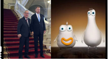 Circul european interzice animalele salbatice, insa animalele politice inca sunt permise