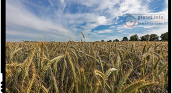 FAO instruiește inspectorii ANSA în Managementul Integrat de Protecţie a Plantelor