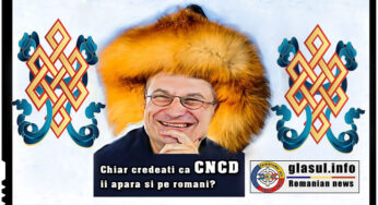 În optica orwelliană a CNCD-ului, condus de un reprezentant al UDMR: ROMÂNUL E VINOVAT!