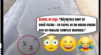 Cine sunt progresiștii de la Ziarul de Iași: “zbârnaliști” care nu știu să facă diferența dintre o rață și un rățoi, dar asociază numărul de biserici cu rata mare de analfabetism