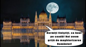 Tâmpiții care “conduc” țara ne transformă “pas cu pas” în Ungaria? Examenele de licență, doctorat și master, de acum și în maghiară!?