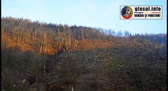 13 iunie: Megaprotestul de sâmbătă împotriva tăierii pădurilor, ultimele detalii