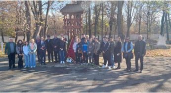 Ziua Armistițului comemorată la Târgu Jiu de mai multe ONG-uri | VIDEO
