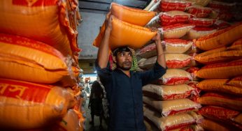 FAO: Prețurile mondiale ale alimentelor au continuat să scadă și în luna ianuarie