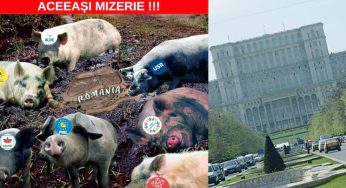 Diana Iovanovici-Șoșoacă: “Cel mai înalt act de trădare în Parlamentul României”