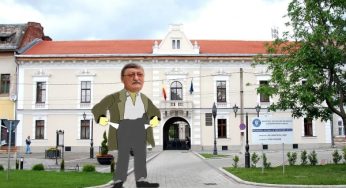 Primăria Carei nu mai are bani pentru plata salariilor tuturor angajaților. Scutiri de majorări și penalități!