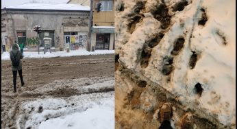 CĂLĂTORIE ÎN TIMP. ÎN ȚARA MEA