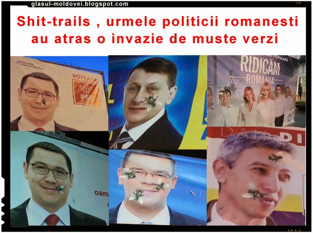 Shit-trails, urmele politicii romanesti au atras o invazie de muste verzi