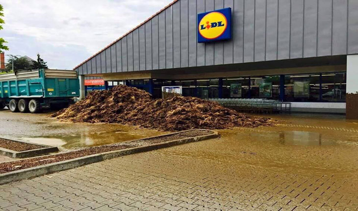 Fermierii romani organizeaza un protest inedit! Se pregatesc pungi de balegar si oua clocite!