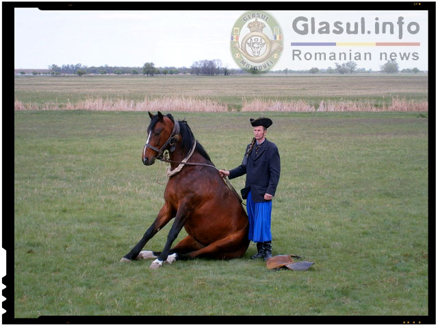 Refuzand sa inveti limba oficiala a Statului Român, te izolezi complet in zona ta, doar la scolile tale, doar la joburile din zona