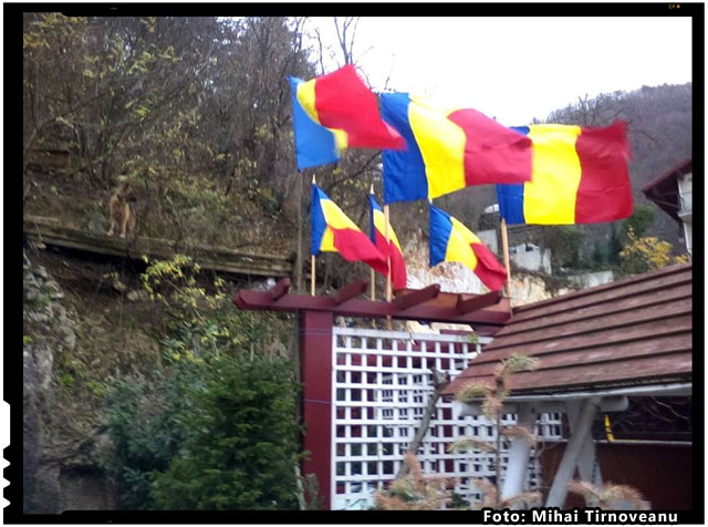 Azi, drapelul meu din curte nu a mai fost singur; i s-au alaturat inca cinci venite de la Ploiesti, foto: Mihai Tirnoveanu