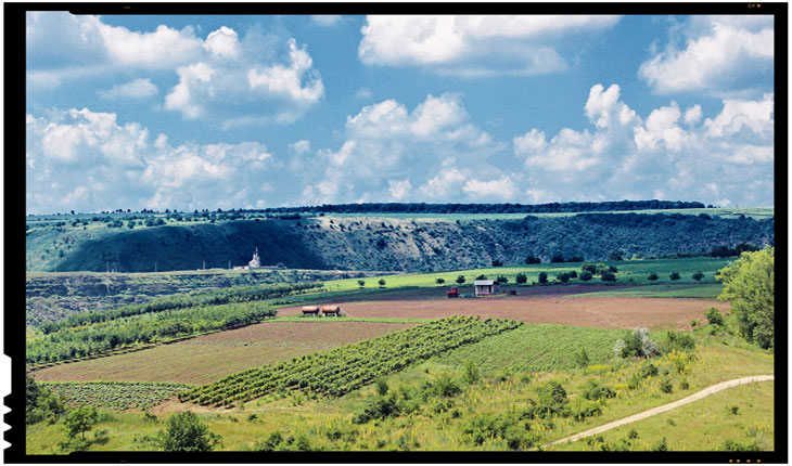 Romanii doresc sa faca investitii in Republica Moldova. Agricultura, domeniu prioritar