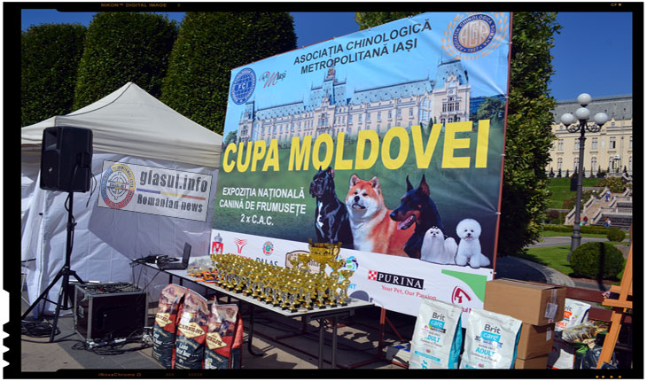 Unii dintre cei mai frumosi caini au putut fi admirati la Cupa MOLDOVEI 2017 de la IASI