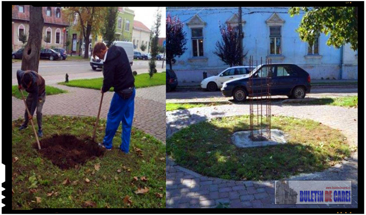 Orasul Carei are nevoie de Eminescu, are nevoie de un suflu proaspat de românism: au inceput lucrarile pentru soclul pe care va fi amplasat bustul lui Mihai Eminescu la Carei, Foto: BuletindeCarei.ro