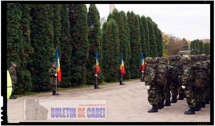 De ce ne sunt indepartate, batjocorite si ascunse monumentele eroilor in propria noastra tara? Cat va mai ramane Monumentul Ostaşului Român din Carei înconjurat de o perdeaua forestieră de 9 m?, Foto: BuletindeCarei.ro