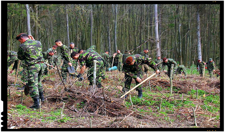 Militarii din Iaşi au plantat 1.700 de puieţi de stejar şi gorun la Dobrovăţ intr-o acţiune de împădurire organizată