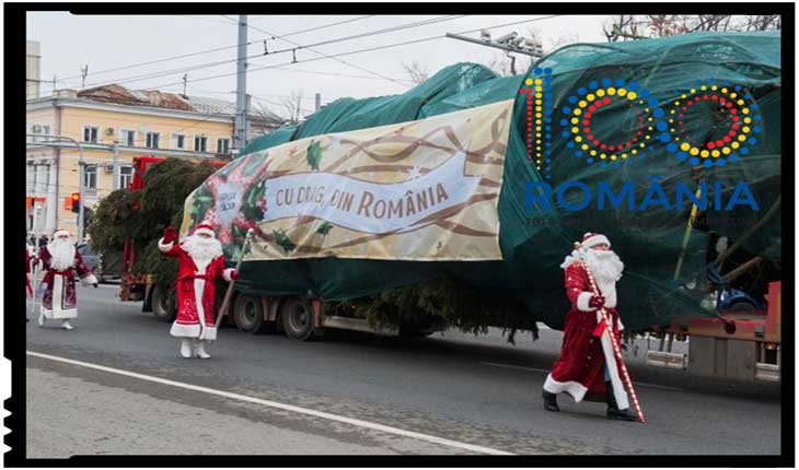 Guvernul României a donat Republicii Moldova un brad adus din munţii Bucovinei