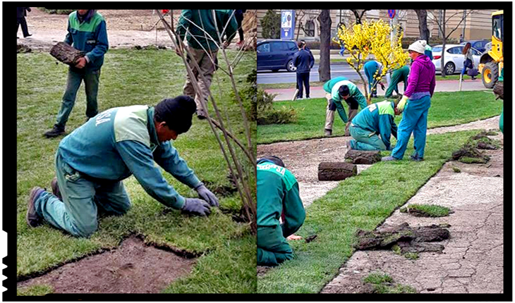 Încă un parc din Iași îmbracă haine noi: gazon, aspersoare și mobilier urban pentru Parcul Berthelot, Foto: facebook.com/serviciipubliceiasi