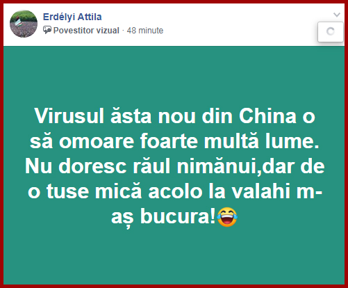 Antiromânismul nu încalcă așa zisele standarde ale comunității de pe facebook, ba chiar este încurajat, Foto: captură facebook