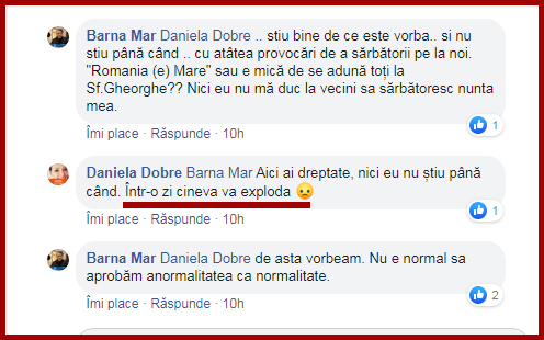   Foto: captură facebook / Daniela Dobre  