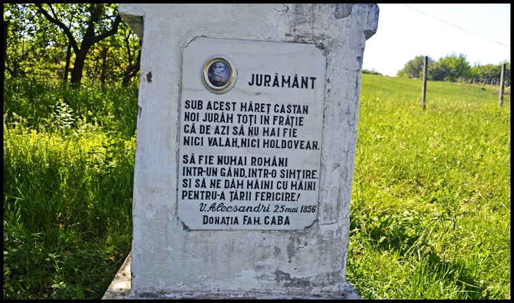 Castanul Unirii și jurământul sacru de la 25 Mai 1856 de sub arborele declarat monument istoric