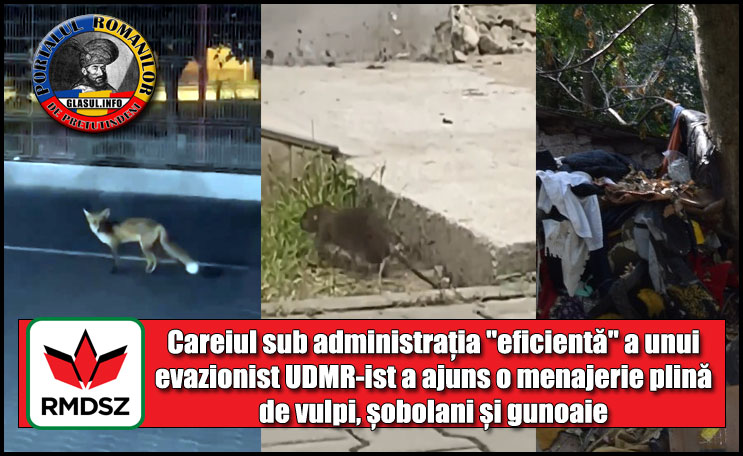 (VIDEO) Careiul sub administrația “eficientă” a unui evazionist UDMR-ist a ajuns o menajerie plină de vulpi, șobolani și gunoaie