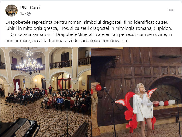 Schizofrenie culturală și identitară la PNL Carei, Foto: Facebook / PNL Carei