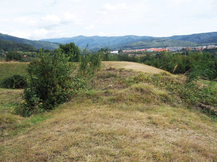 Castrul cu val de pământ de la Pleşa – Porceni (oraş Bumbeşti-Jiu)