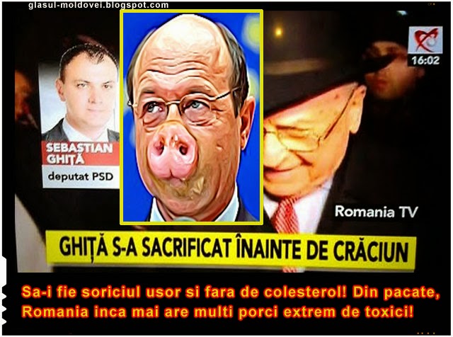 Ghita s-a sacrificat inainte de Craciun! Din pacate, Romania inca mai are destui porci toxici!