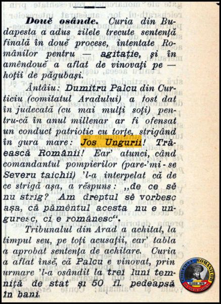 Fișier:Dumitru-Palcu.jpg