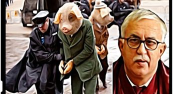 Zegrean – Nu exista in Constitutie ceva despre animale!
