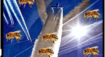 Ipoteza halucinanta – Fenomenul Chemtrails folosit pentru a ucide albinele