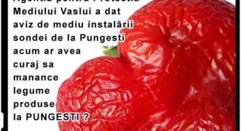 Cei care au dat aviz de mediu pentru sondă pot mânca legume de la PUNGEȘTI?