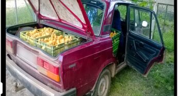 Ratuste “periculoase” la granita moldo-ucraineana