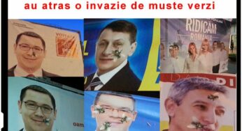 John Feffer: “Partidele politice din România sunt ca amibele”
