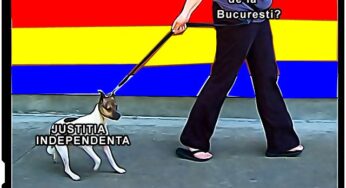 Batranul si justitia independenta