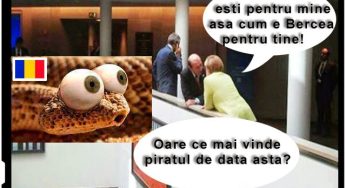 Base, tu esti pentru mine cum e Bercea pentru tine!